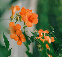 柏林君严选好物第2期