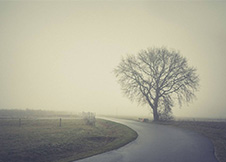 一路闯荡何处为