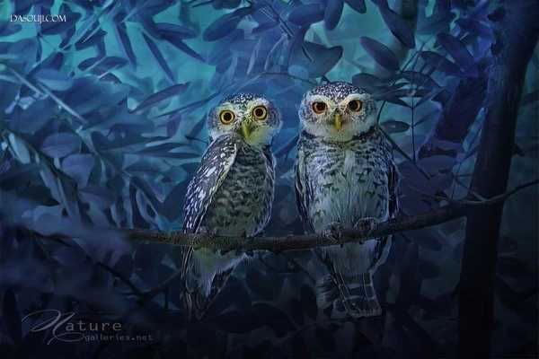 命里有时终须有，命里无时莫强求！