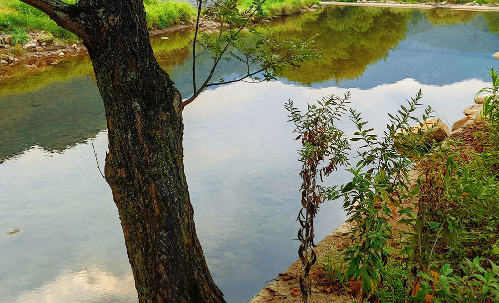 相处或相爱中不
