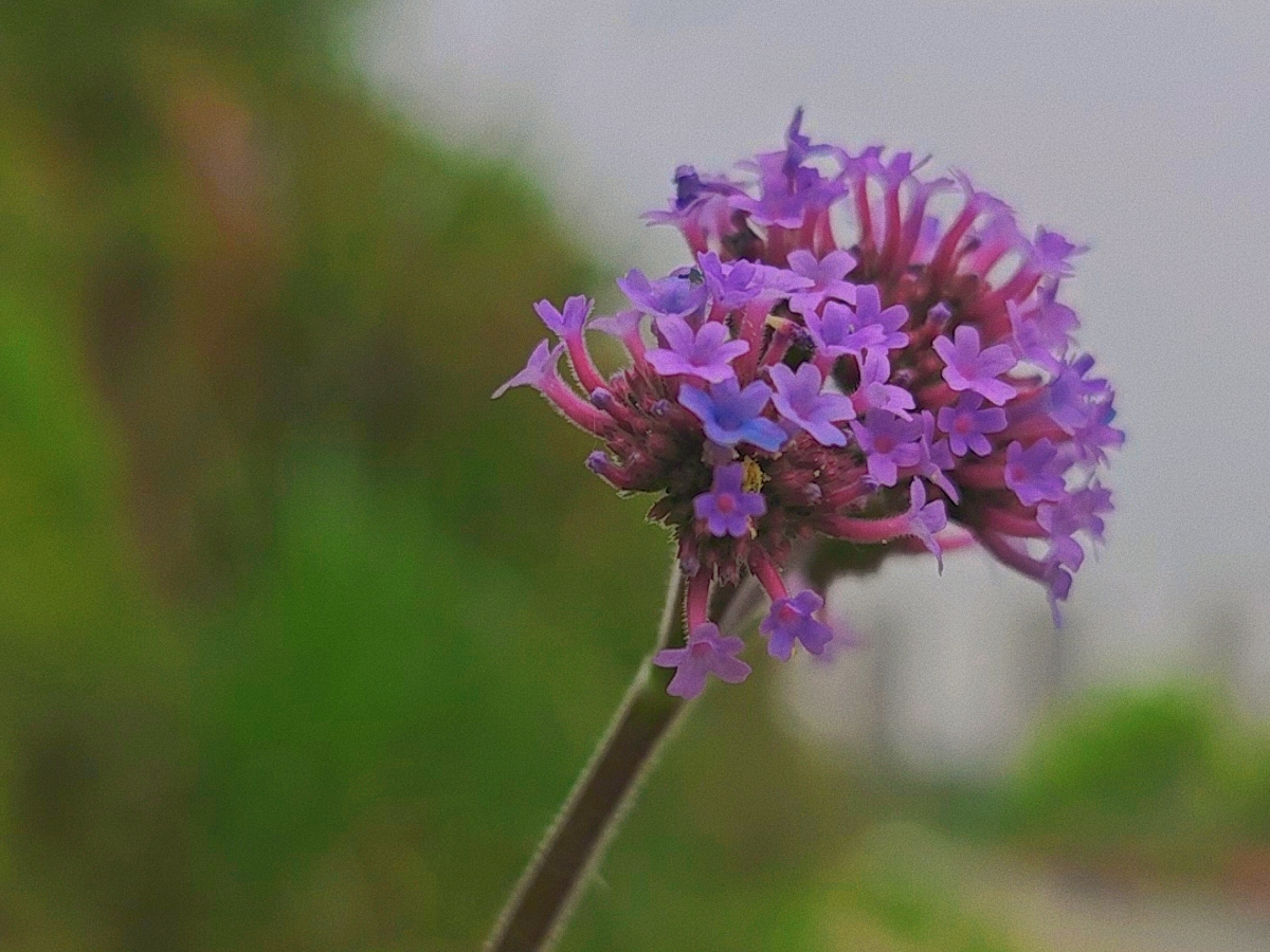 来日并不方长时