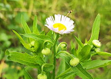 心血来潮之作-网站更换域名启用新域名新