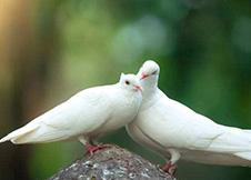 屡被爽约 心情有确实有些不悦