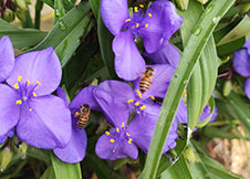 其实真的尘埃落