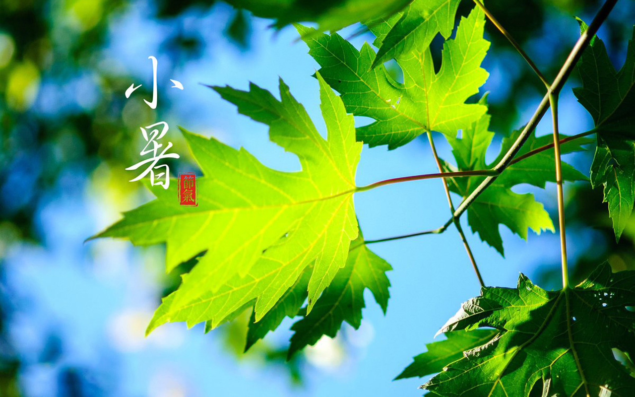 2020年7月6日 今天