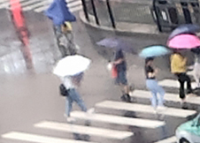 我想去看看别人